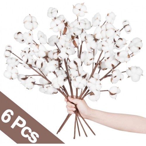 Natural White Cotton Boll Stems Flowers Branches Vase Display Floral  Decorations